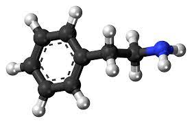 Phenethylamine Wikipedia