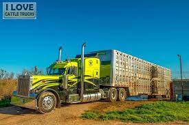 Pin On Bull Haulers Cowhaulers Livestock Haulin