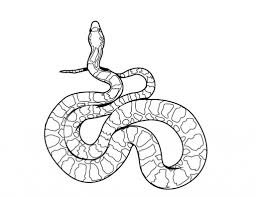 Snake printable coloring pages are a fun way for kids of all ages to develop creativity focus motor skills and color recognition. Free Printable Snake Coloring Pages For Kids Animal Coloring Pages Snake Coloring Pages Snake Coloring Page