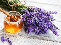 أدق المعلومات عن زيت اللافندر الأصلي