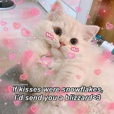 Memes To Send To Your Crush Freaky Memes To Send To Your Crush In 2020 Love Memes For Him Cute Memes Cute Love Memes