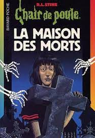 top 10 des meilleurs livres chair de poule meme si avec le recul on dirait pas meilleurs chair de poule livre chair de poule serie de livres