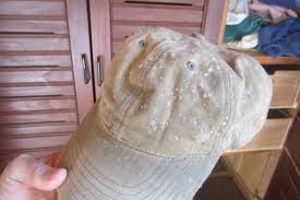 Follow the manufacturer's instructions about the suggested water temperature for washing and how the clothing items should be dried. 5 Effective Ways To Remove Mold From Clothes