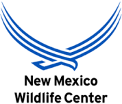 Animal Encounters at the New Mexico Wildlife Center