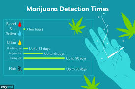 Passing a hair follicle drug test hair follicle tests are one of the hardest tests to cheat. Question How Long Does Marijuana Stay In Your System Residence Xii