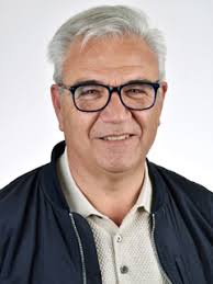 Ficha del diputado/a