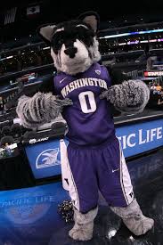 Pin On College Team Mascots