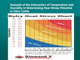 Managing Heat Stress In Dairy Animals Ppt Video Online