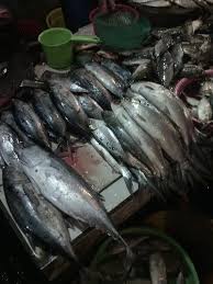 Makanan khas lampung ini dijamin bikin lidah berasa bergoyang karena hidangan ini dilengkapi dengan cabai yang pedas dan ditaburi bumbu yang gurih. Dengan Inovasi Duri Hingga Sisik Ikan Bandeng Bisa Jadi Kerupuk