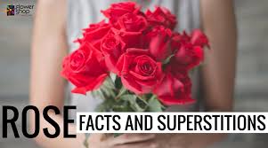 However, using them to troll his uncle was worth every penny. Rose Facts And Superstitions