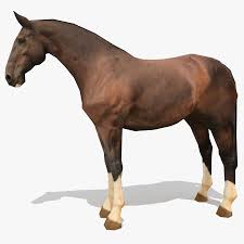 Lowpoly Horse C Liver Chestnut Royalty Free 3d Model Preview No 1 Horses 3d Model Animals