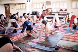 best yoga cles and retreats in india