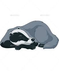 Badger Sleeping On A White Background Eps 8 Jpg High Resolution Photographer Business Card Template Animal Illustration Badger