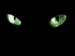 Pick your clip, edit it, download and share it. Gif Image Popular Moving Black Background Gif