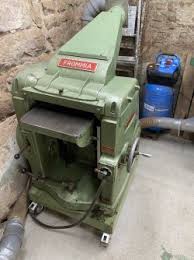 Image result for Frommia