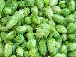 Beers, ratings, reviews, location, distribution and more. Lupulo El Corazon De La Cerveza Por La Cerveza Libre