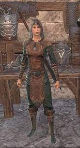 Fashion is significant to many the elder scrolls online players. Styles Elder Scrolls Online Wiki