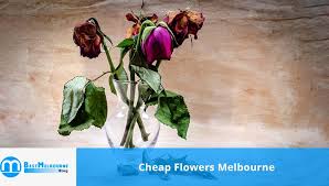Rose & co is proud to be the best sydney florist that have flower delivery sydney. Best Cheap Flowers Melbourne Best Melbourne Blog