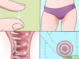 The gp will try to work out the cause of your itching. How To Stop Vaginal Itching With Pictures Wikihow