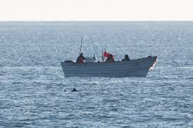 Maybe you would like to learn more about one of these? In The Fight To Save The Vaquita Conservationists Take On Cartels