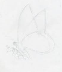 So friends, let's start how to draw a simple & easy butterfly. Make Butterfly Sketch Quickly And Easily Speed Is The Key
