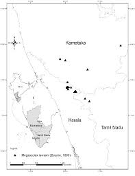 Map of karnataka with important places useful for karnataka travellers. Known Locations Of Megascolex Lawsoni In Karnataka Kerala And Tamil Download Scientific Diagram