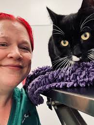 Feline Healthy Ageing Clinic