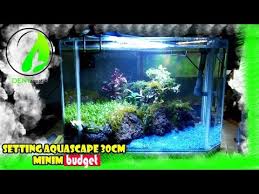 The following article contains an abundance of landscaping advice. Setting Aquascape Tank 30 40cm Minim Budget Youtube