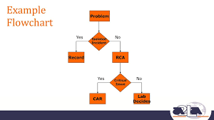 Root Cause Analysis Roger Brauninger Ppt Download