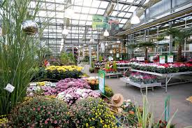 Öffnungszeiten dehner garten center jacobsrade 20 in siek. Dehner In Karlsbad Trendseller