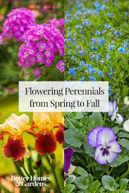 We did not find results for: 16 Flowering Perennials That Will Add Color To Your Garden From Spring To Fall Flowers Perennials Blooming Flowers Perennials