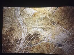 Step back in time to the dawn of creativity 36,000 years ago. Fantastic Exhibition Free When Paying For The Grotte Entry Of Life Size Animals Roaming This Area 37000 Years Ago Picture Of Grotte Chauvet 2 Ardeche Vallon Pont D Arc Tripadvisor