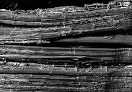 Pin On Lifting Carrying And Passing Collection Items In Archival Institutions Post Disaster