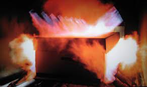 The mayor lost his own mother earlier this year and decided to cremate her abroad. 9 Things About Cremation Elemental Cremation Burial