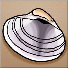 7,073 clam shell vector eps illustrations and drawings available to search from thousands of royalty free clip art graphic designers. Clip Art Seashells Venus Clam Shell Color I Abcteach Com Abcteach