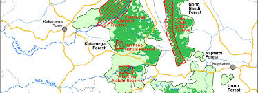 Image result for Landolphia eminiana