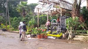 Tapi, sekiranya di bawah ini merupakan toko bunga yang terbaik dari yang terbaik dan memang sering. Pasar Bunga Yang Jadi Pilihan Warga Kota Bandung