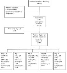 Dynamics Of Monocytic Hla Dr Expression Differs Between