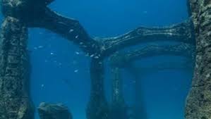 Din punct de vedere al salinității, marea neagră se împarte în Orasul Antic Din Marea Neagra