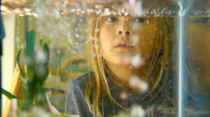 Media Accumulation: 2018