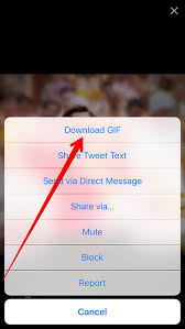 We can show you how with the inst. How To Download Gifs And Videos On Your Iphone From Twitter Iphonehelp