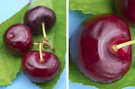 Pourquoi Mon Cerisier N A T Il Pas De Fruits Cette Annee Pomme Caramel Fruits Fruit