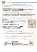 Sets in the java collection framework for this week's lab, you will use two of the classes in the java collection framework: Gizmo Student Exploration Cell Division A Grade Questions And Answers All Correct Study Guide Download To Score A Gizmo Student Exploration Cell Division Questions And Answers All Correct Study Guide