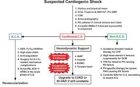 Cardiogenic Shock Intechopen