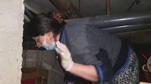 Asociatia de proprietari bloc s, bucurești (bucharest, romania). Blocul FÄrÄ AsociaÈie De Proprietari Gazeta De Sud