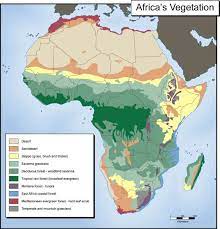 Most of africa's forests, like the forests of europe a nd north america, have been cut or burned by humans to create the largest vegetation zone in africa is tropical grassland, known as savanna. Pin On History Interests