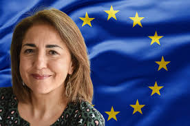 Launch of the "All In Plus" joint EU-CoE project