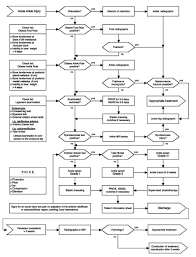 Algorithm For Diagnosis And Treatment Of Acute Ankle