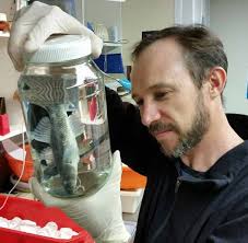 Fish Section visitors