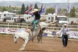 Oʊ /) is a competitive equestrian sport that arose out of the working practices of cattle herding in spain and mexico, expanding throughout the americas and to other nations. Suhls Rodeo Genuine Rodeo Near Orlando Go Guides